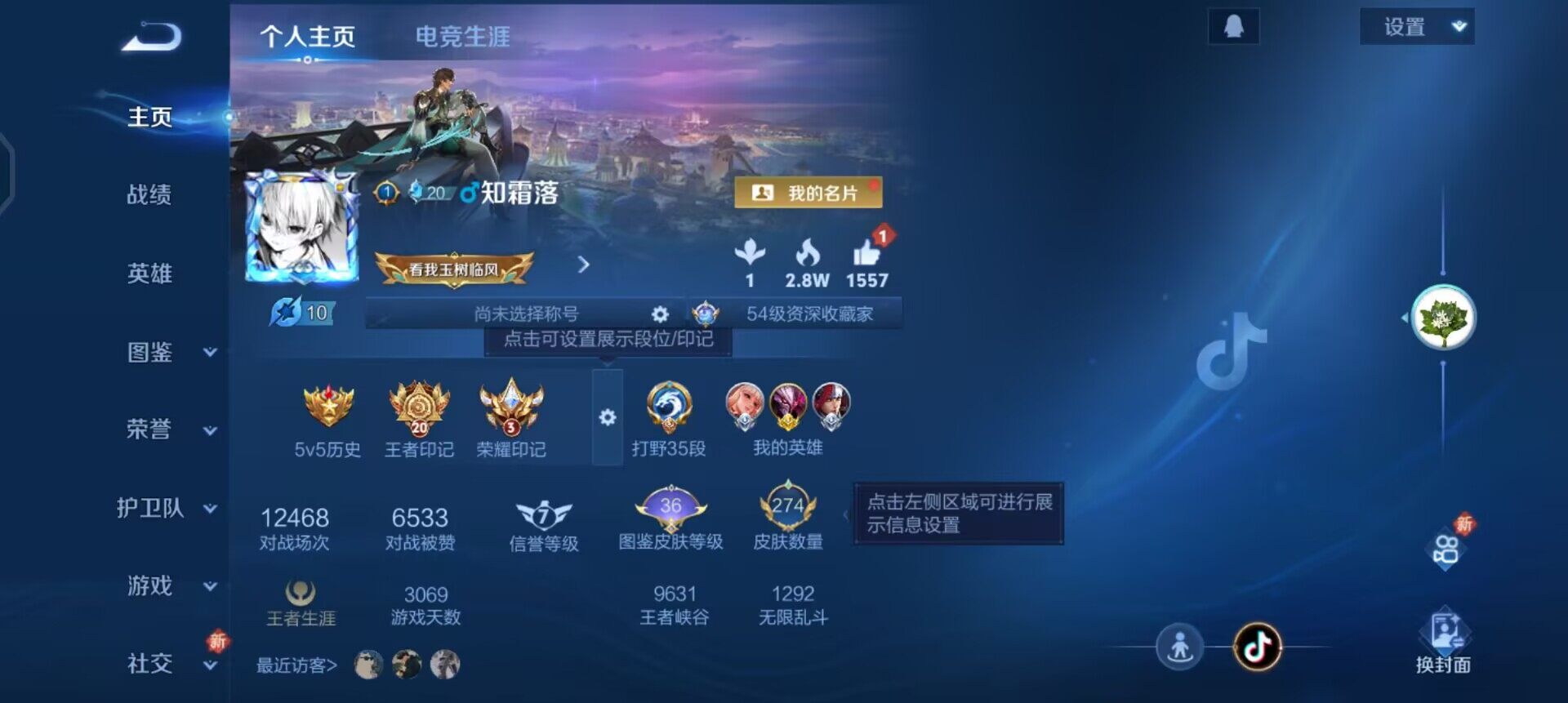 WZQM3413213王者荣耀账号详情图15 WZQM3413213王者荣耀账号详情图15