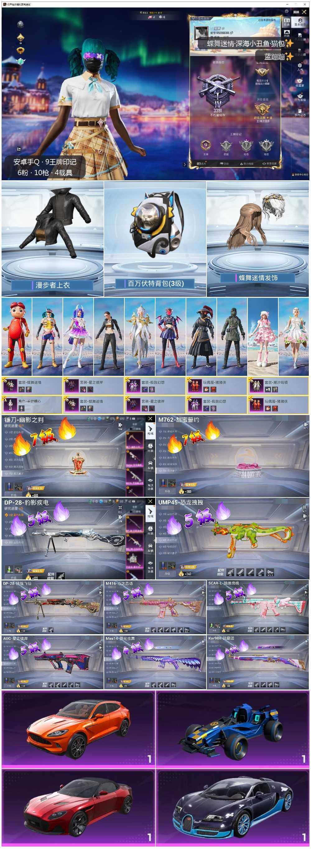 HPLE3417318和平精英账号详情图2 HPLE3417318和平精英账号详情图2