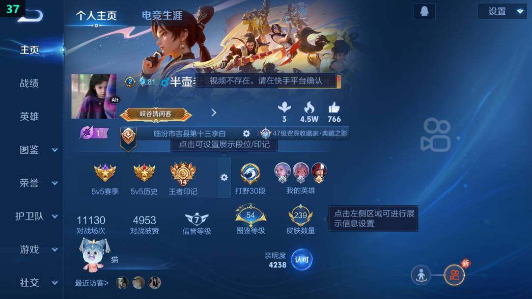 WZ0349827王者荣耀账号详情图6