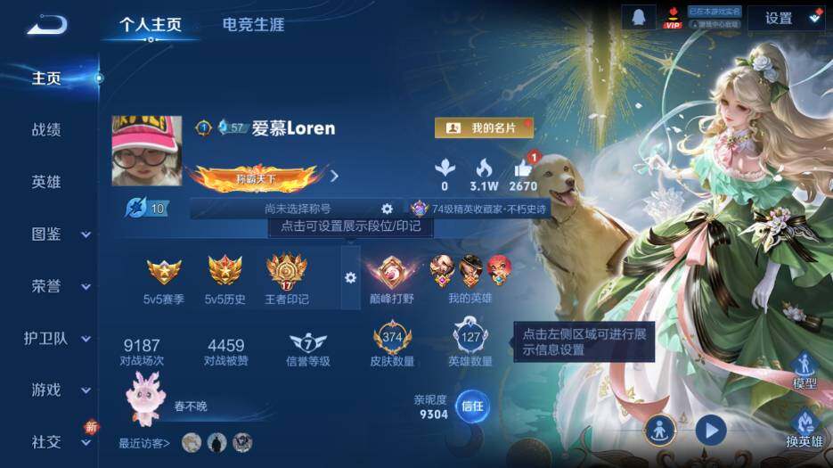 WZ0349836王者荣耀账号详情图9