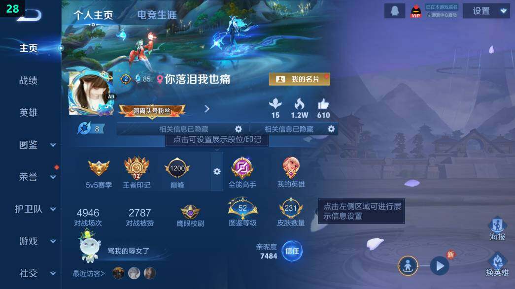 WZ0349846王者荣耀账号详情图7