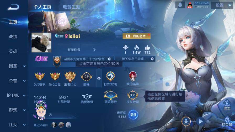 WZ0349861王者荣耀账号详情图9