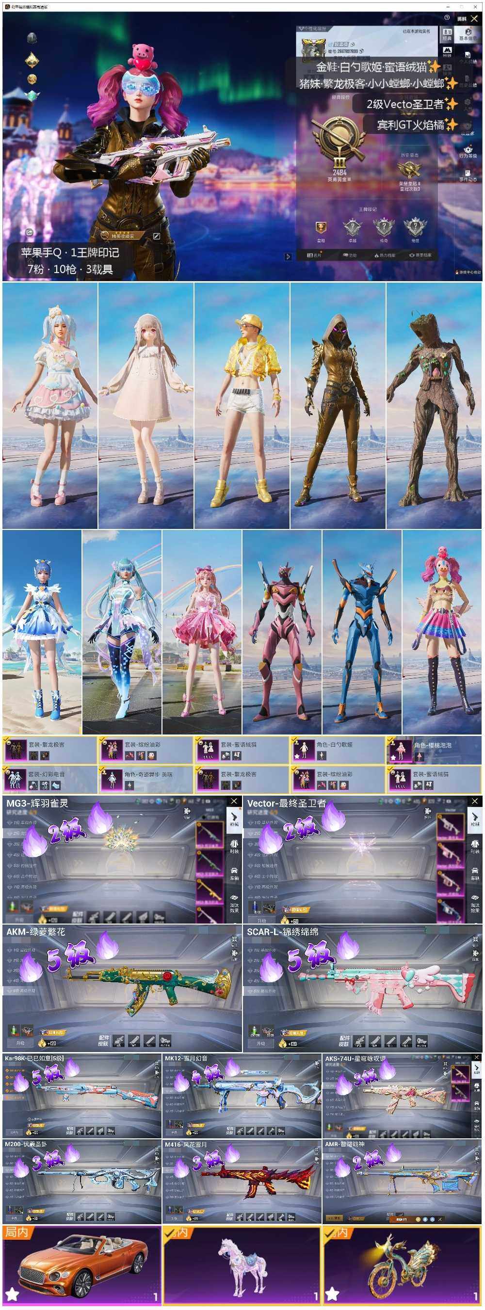 HPLX3429357和平精英账号详情图2 HPLX3429357和平精英账号详情图2