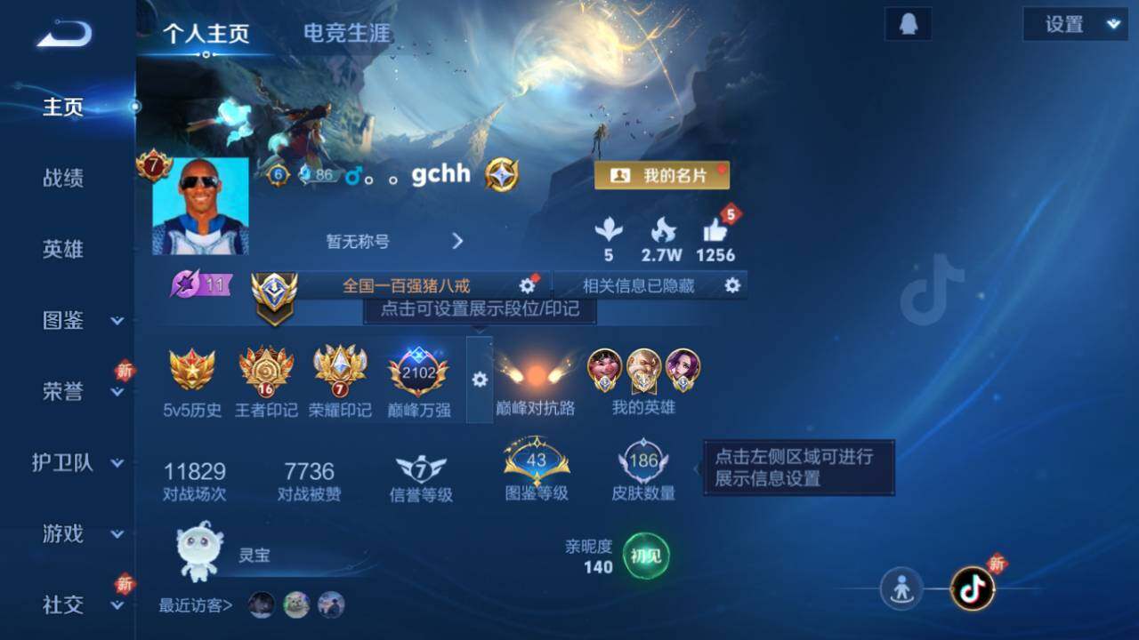 WZ0349662王者荣耀账号详情图13