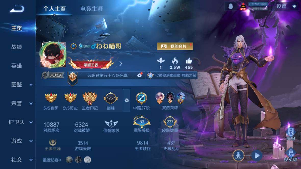 WZ0349886王者荣耀账号详情图8