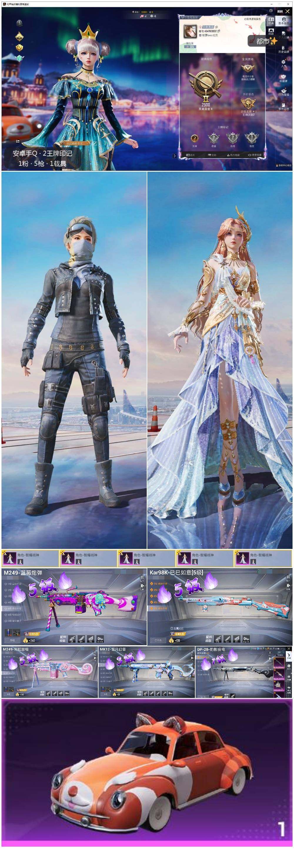 HPLE3429317和平精英账号详情图2 HPLE3429317和平精英账号详情图2