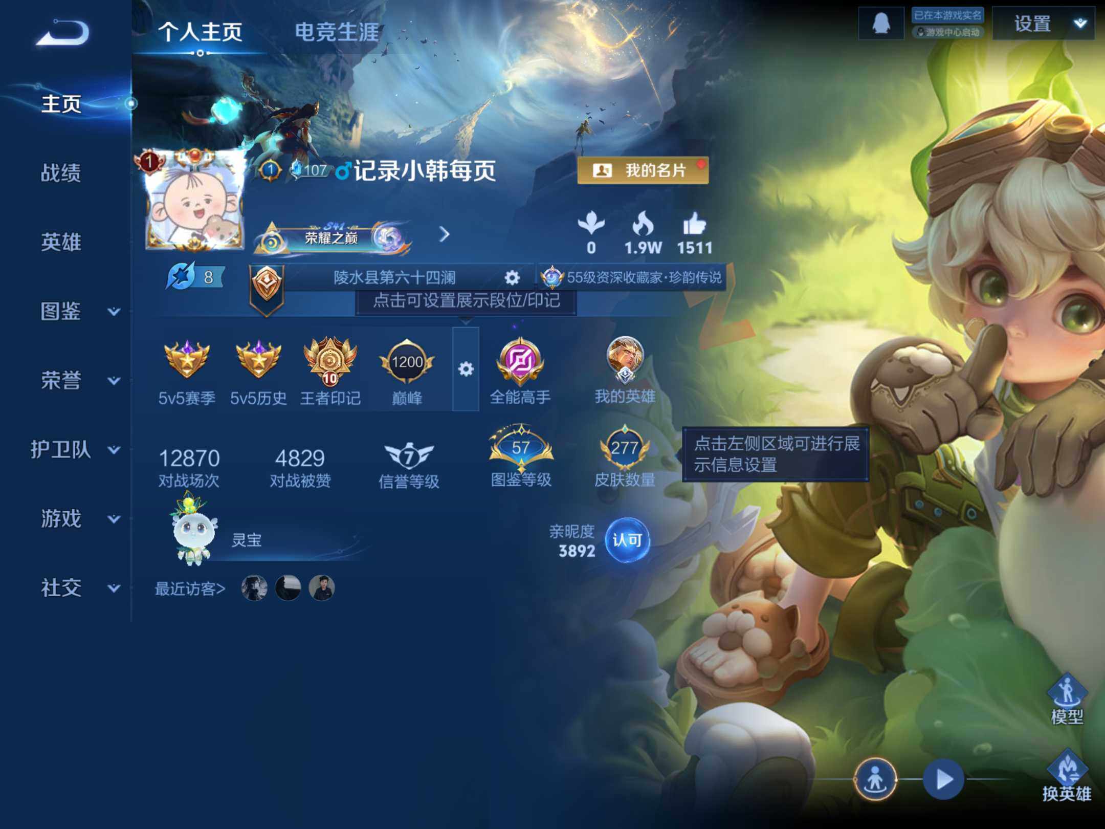 WZKG451247王者荣耀账号详情图3