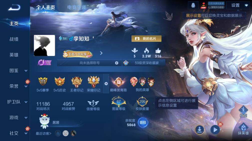 WZ0349891王者荣耀账号详情图8