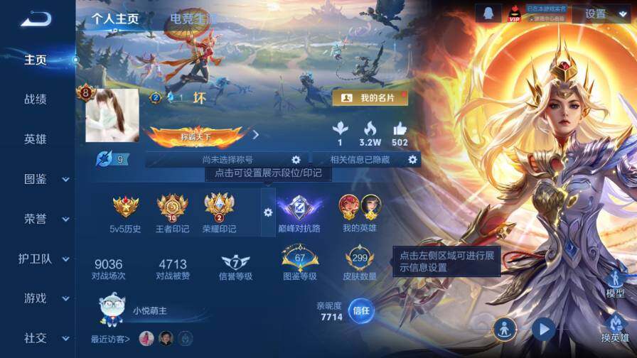 WZ0349905王者荣耀账号详情图9