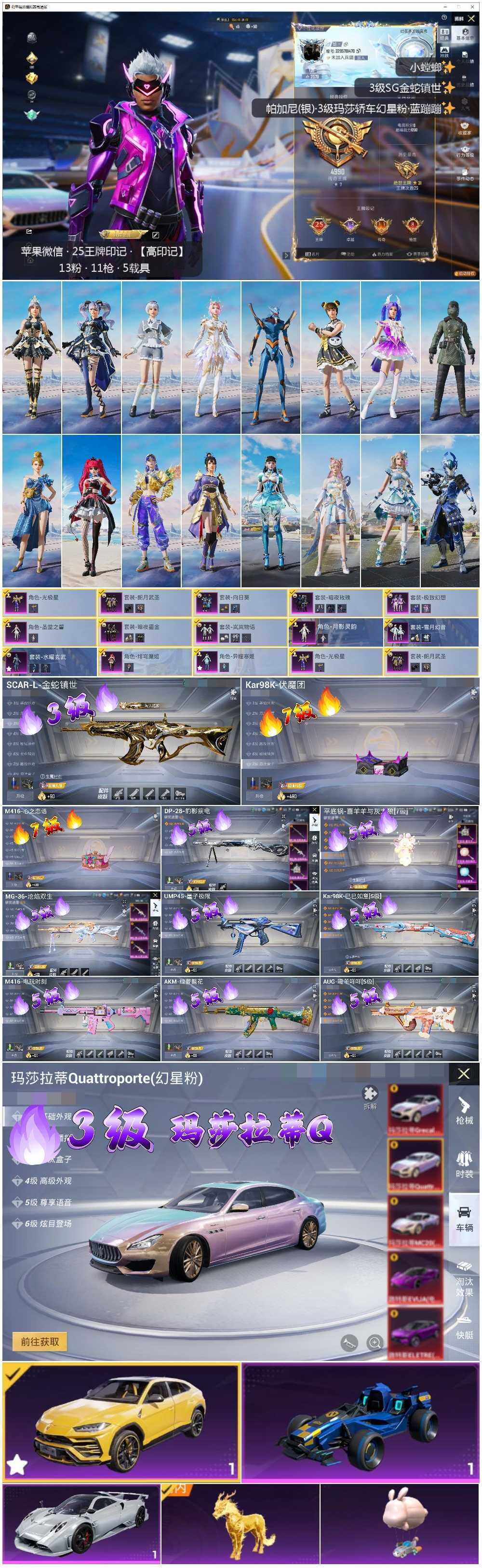 HPLE3429266和平精英账号详情图2 HPLE3429266和平精英账号详情图2