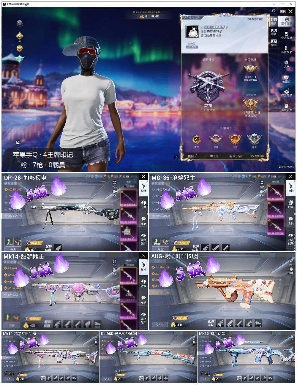 HPLE3429263和平精英账号详情图2 HPLE3429263和平精英账号详情图2