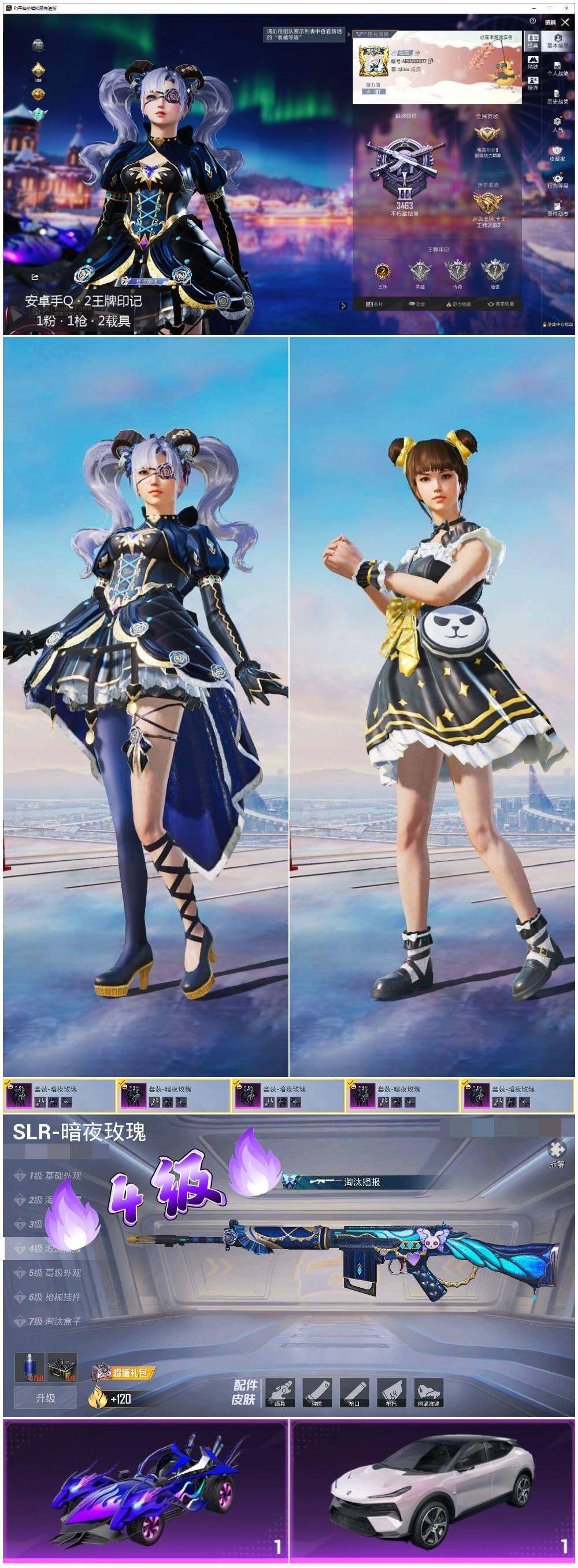 HPLX3431794和平精英账号详情图2 HPLX3431794和平精英账号详情图2