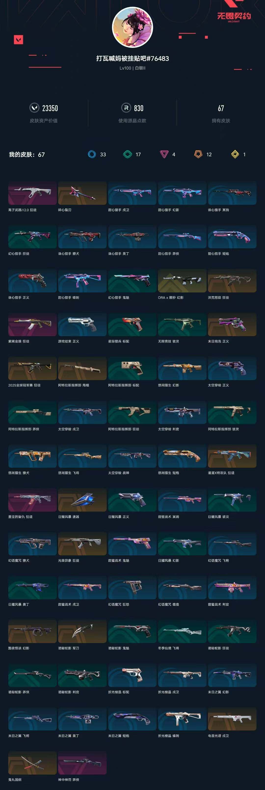 WWQXL328752无畏契约账号详情图4 WWQXL328752无畏契约账号详情图4