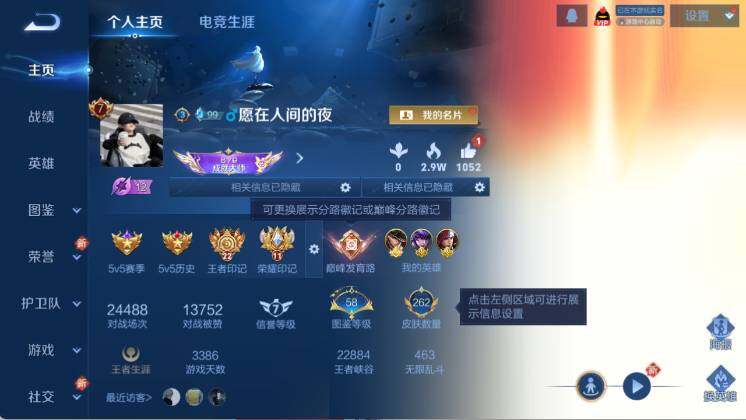 WZ0349921王者荣耀账号详情图8