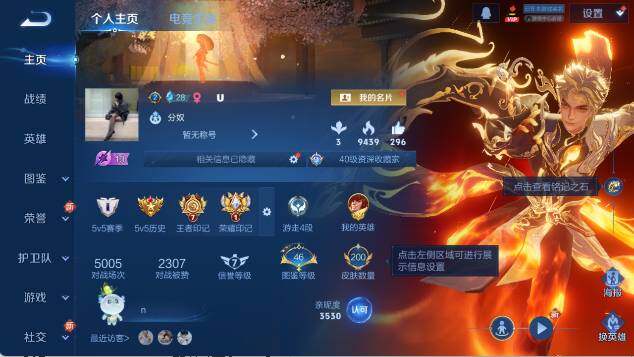 WZ0349923王者荣耀账号详情图10