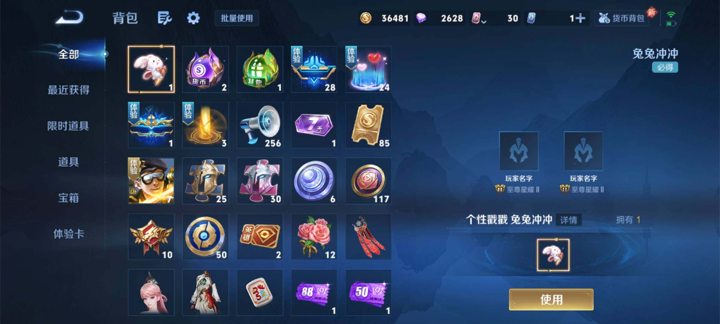 WZKG451249王者荣耀账号详情图9