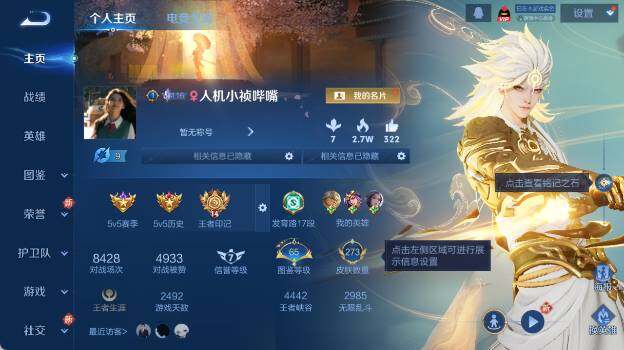 WZ0349924王者荣耀账号详情图9