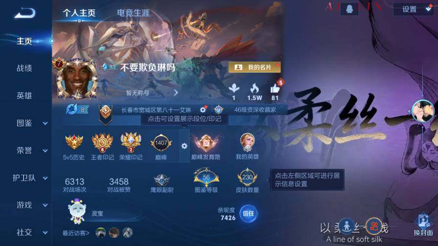 WZ0349929王者荣耀账号详情图8