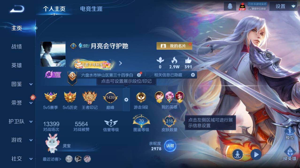 WZ0349931王者荣耀账号详情图4