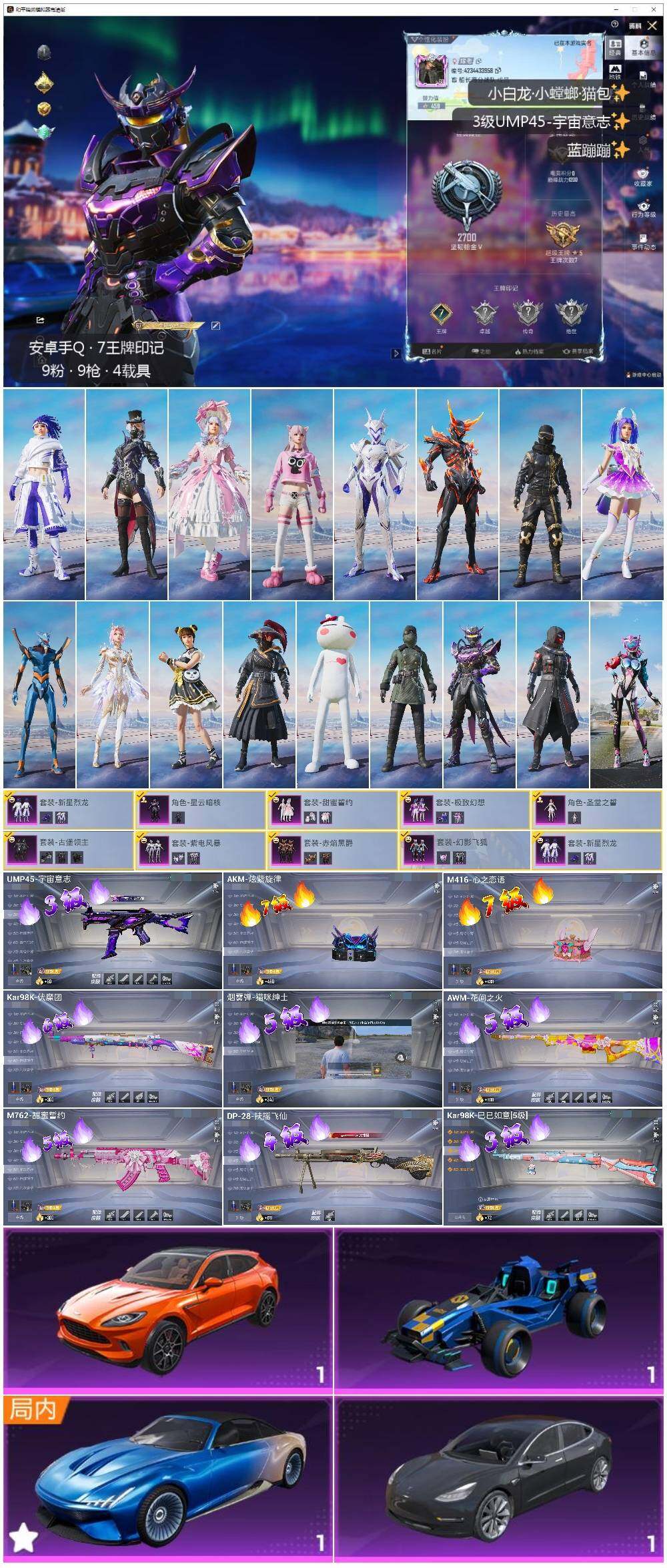 HPLE3431749和平精英账号详情图2 HPLE3431749和平精英账号详情图2