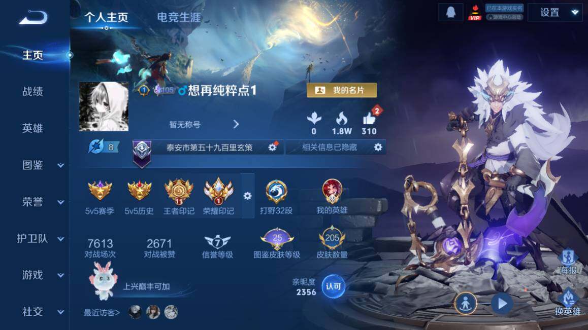 WZ0349943王者荣耀账号详情图9