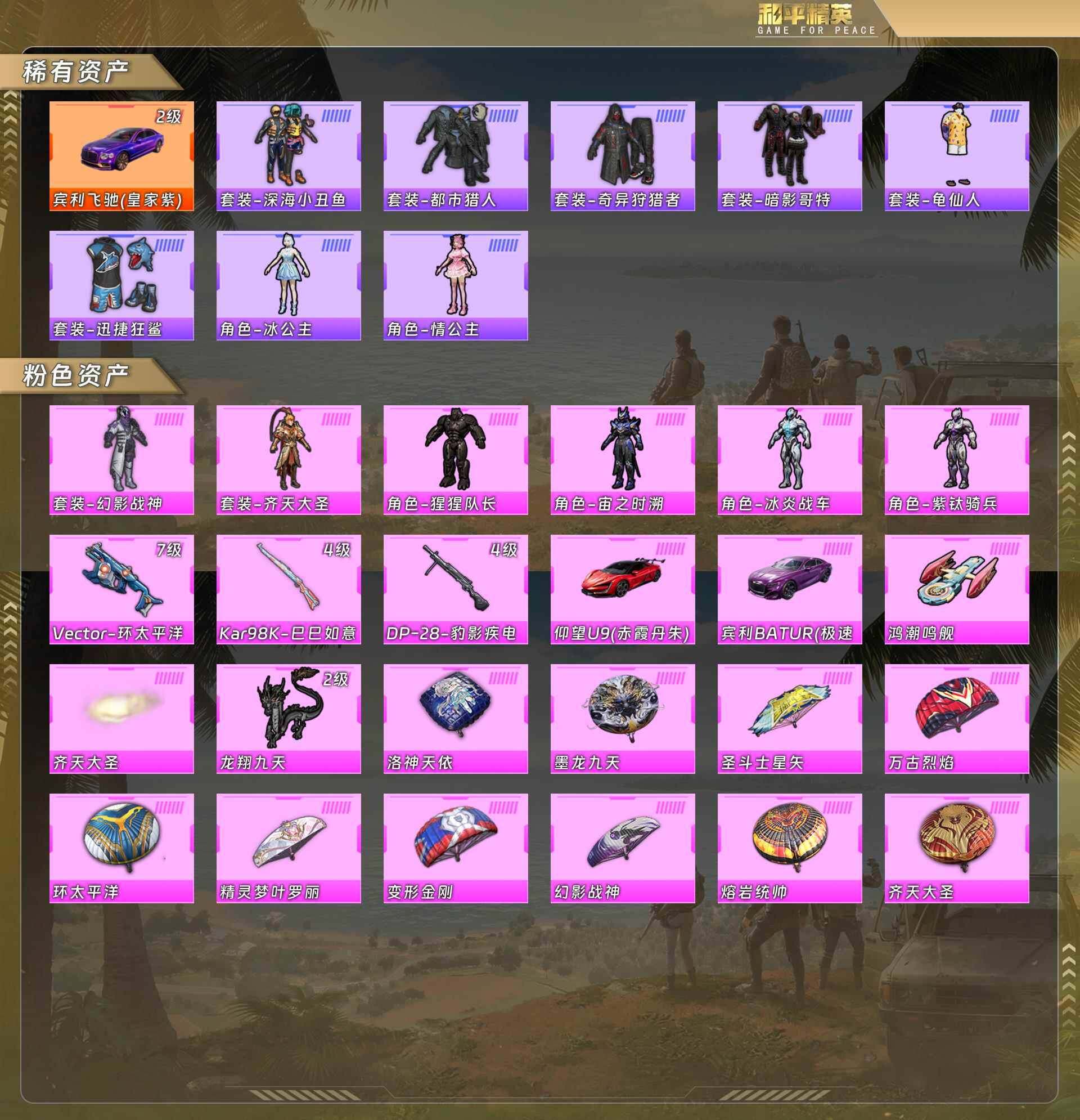 HPCMW478232和平精英账号详情图5