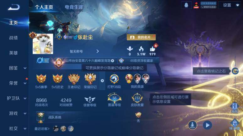 WZ0349969王者荣耀账号详情图7