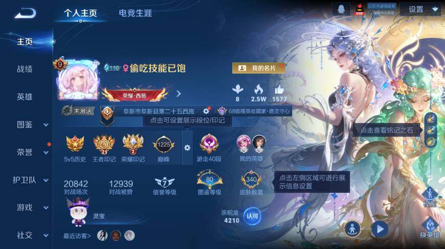 WZ0349993王者荣耀账号详情图10