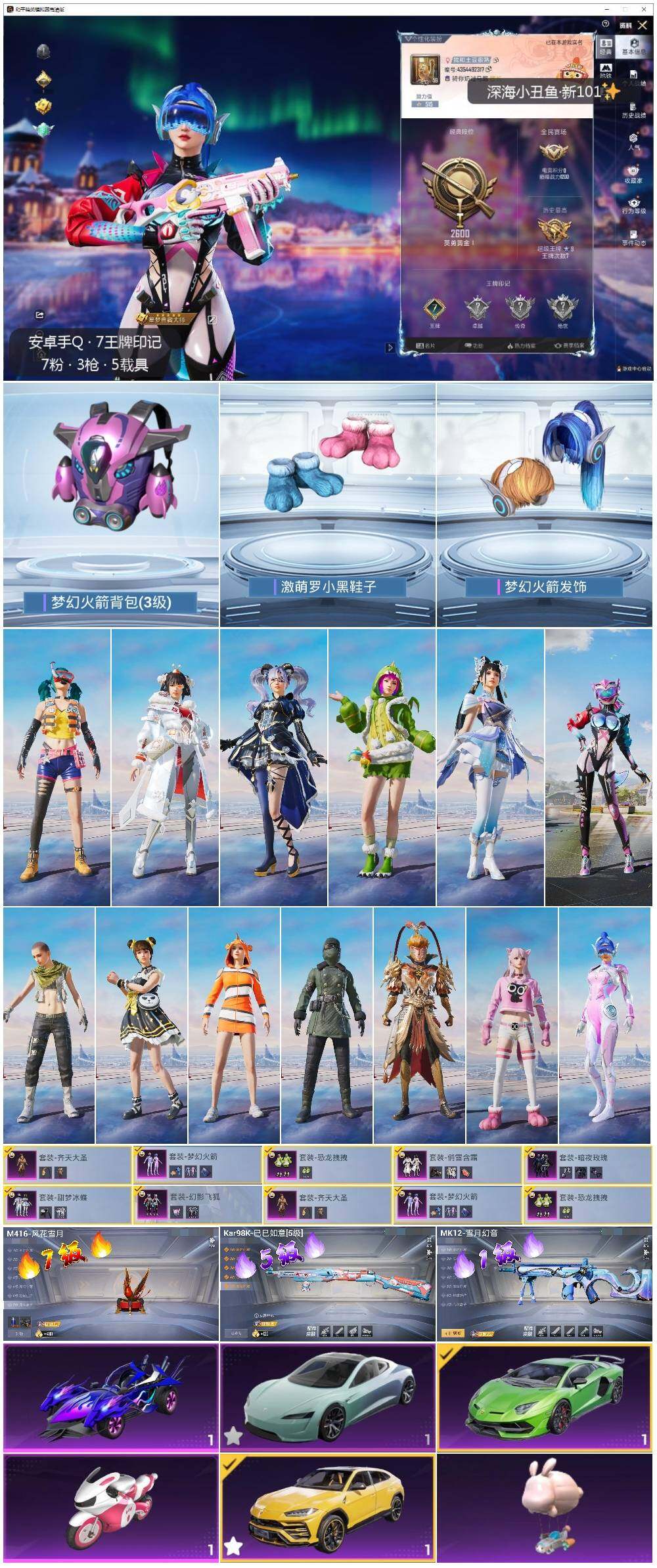 HPCMW3434662和平精英账号详情图2