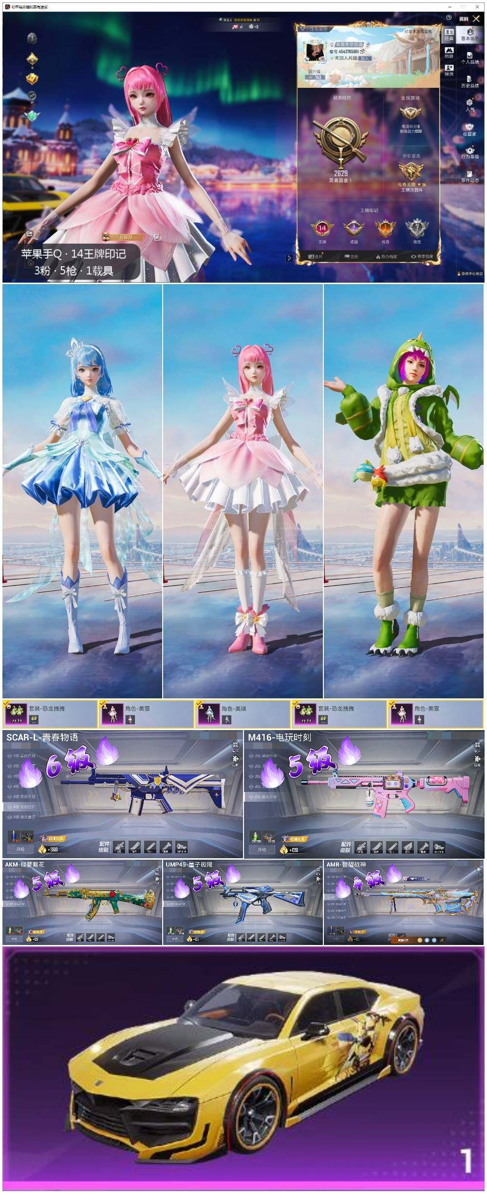 HPLE3436026和平精英账号详情图2