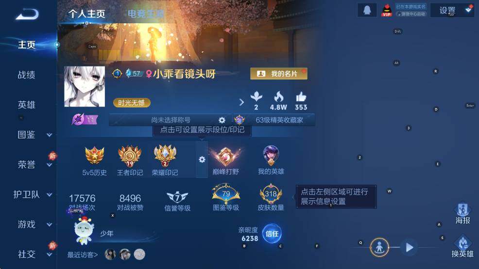 WZCMW3434811王者荣耀账号详情图8