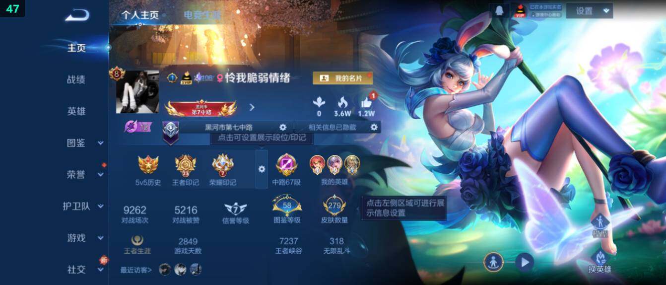 WZ03410064王者荣耀账号详情图10 WZ03410064王者荣耀账号详情图10