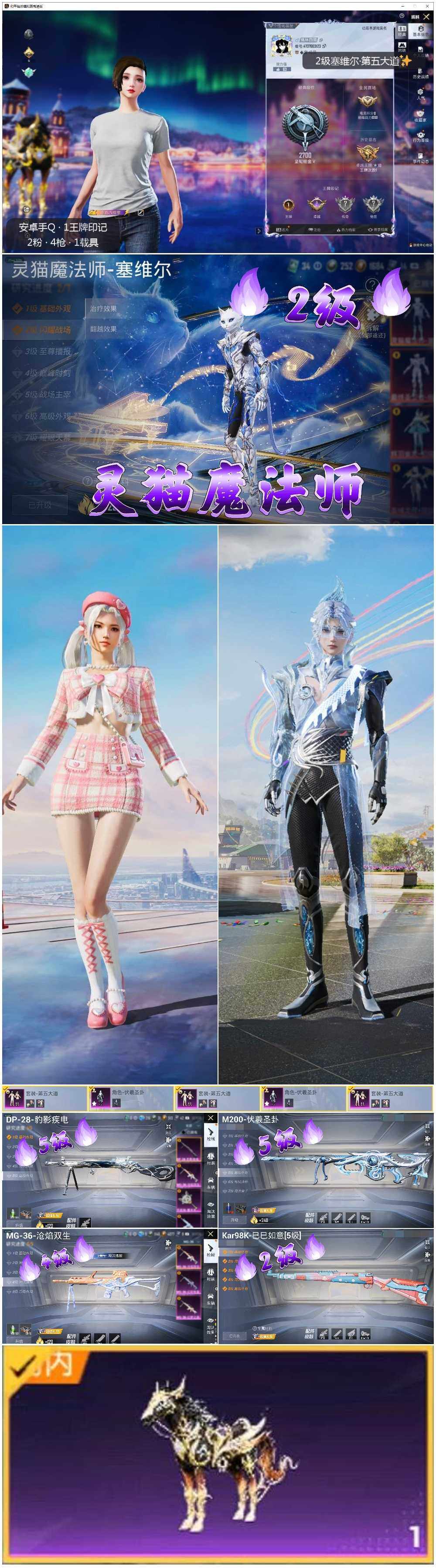 HPLE3436079和平精英账号详情图2