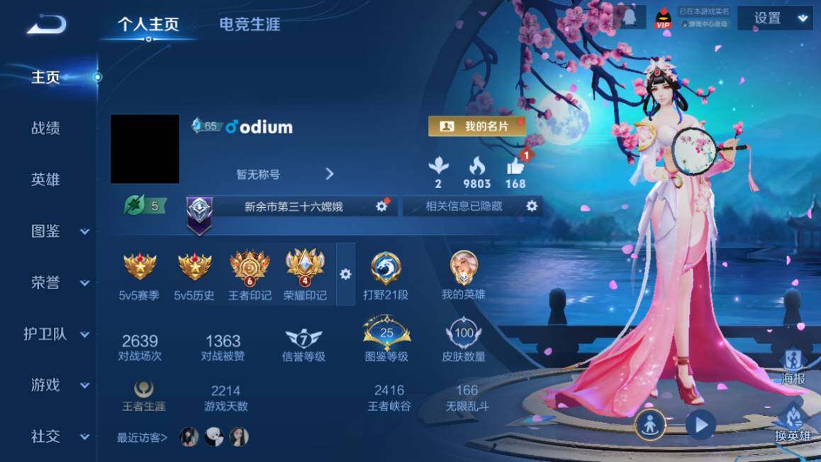 WZ03410078王者荣耀账号详情图6