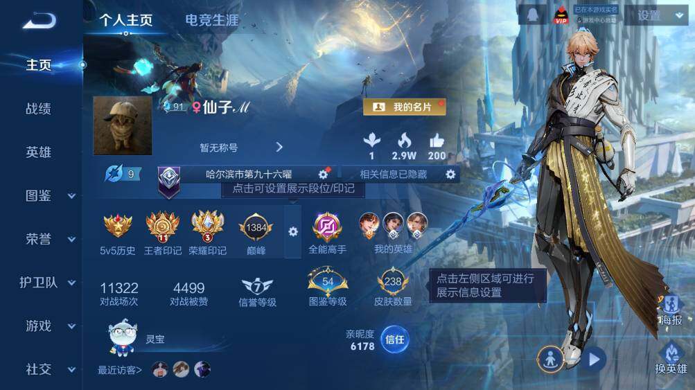 WZ03410107王者荣耀账号详情图8 WZ03410107王者荣耀账号详情图8