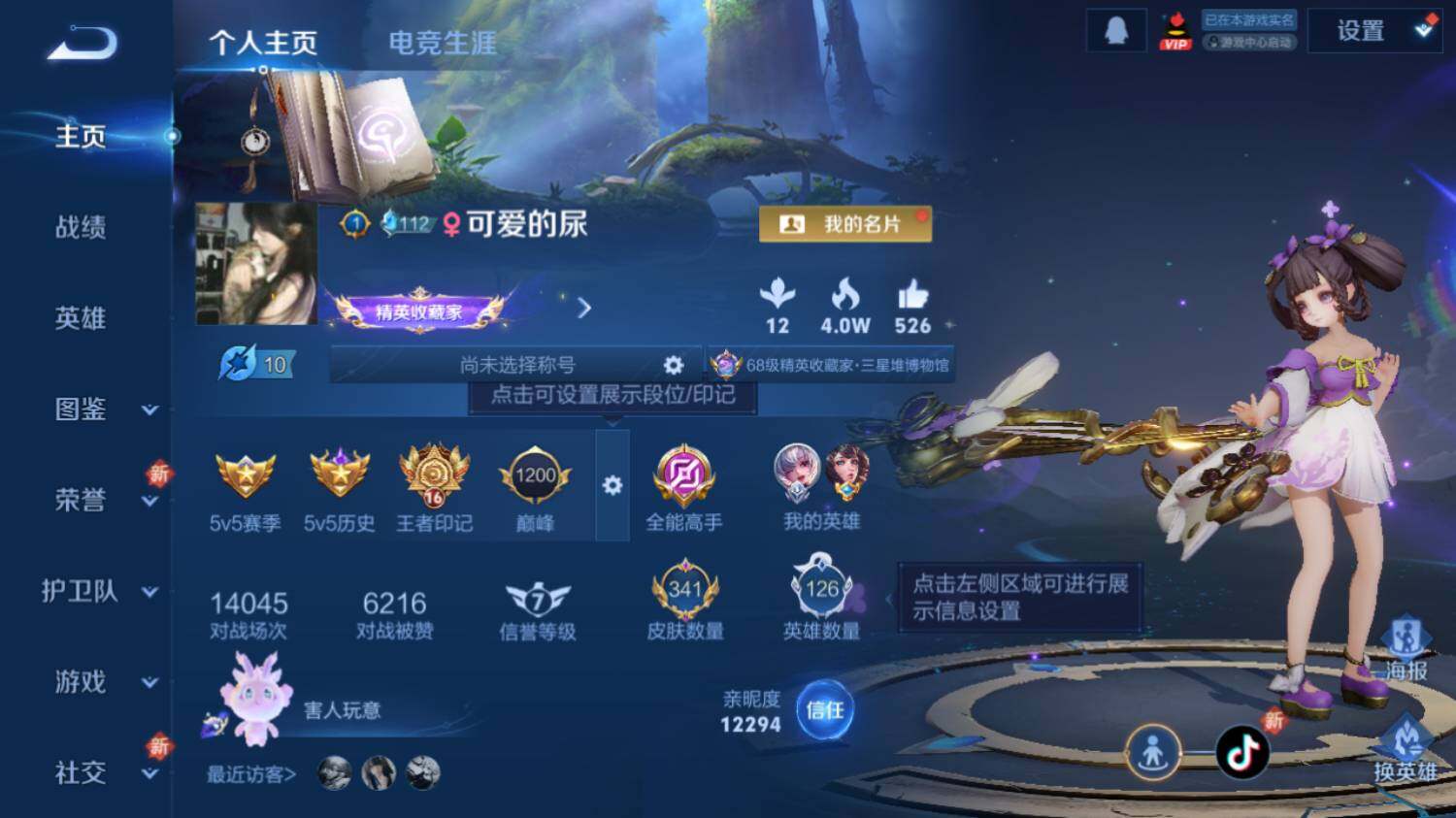 WZ03410120王者荣耀账号详情图9