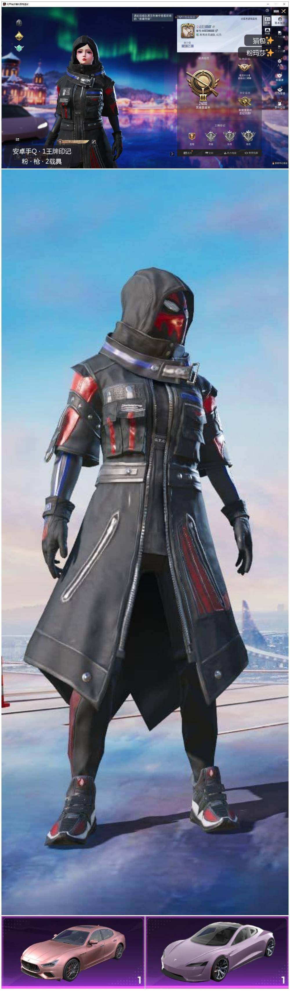 HPLX3440865和平精英账号详情图2