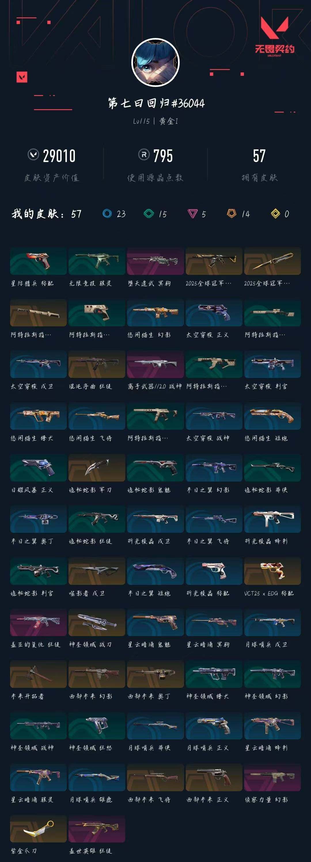 WWQXL329949无畏契约账号详情图5 WWQXL329949无畏契约账号详情图5