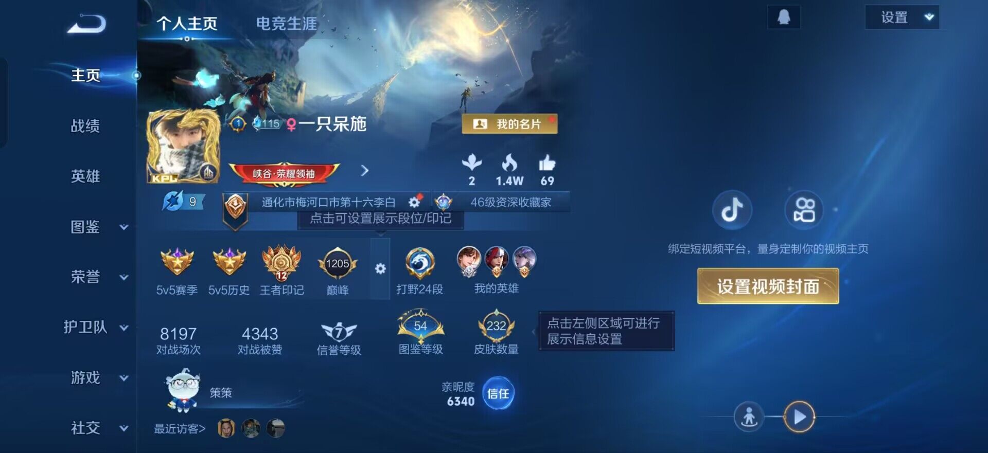 WZQM3466192王者荣耀账号详情图3