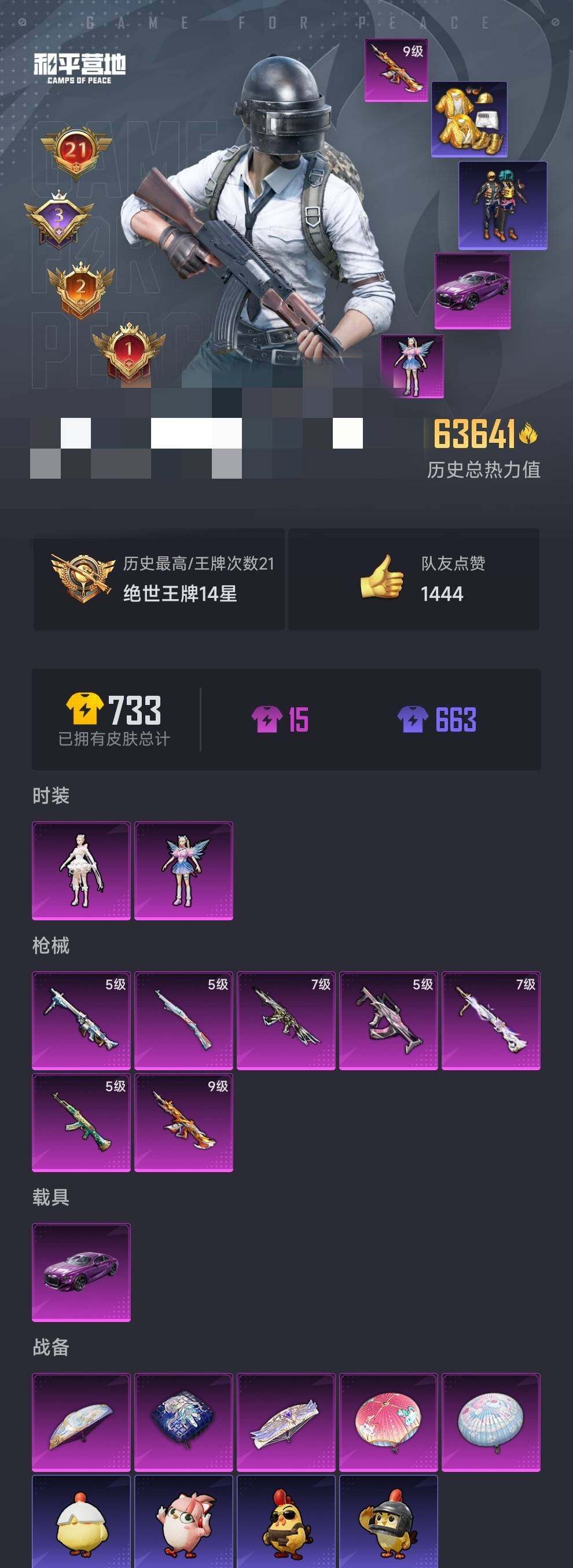 HPQM3435245和平精英账号详情图24