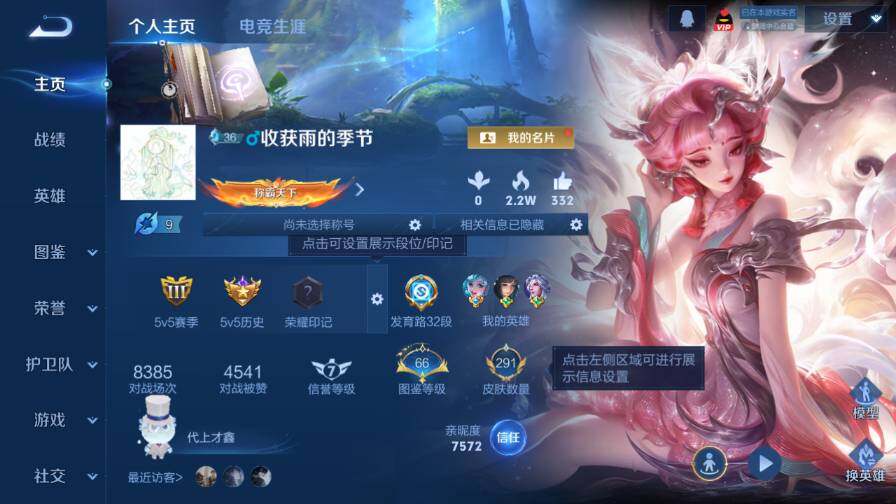 WZ03410135王者荣耀账号详情图9