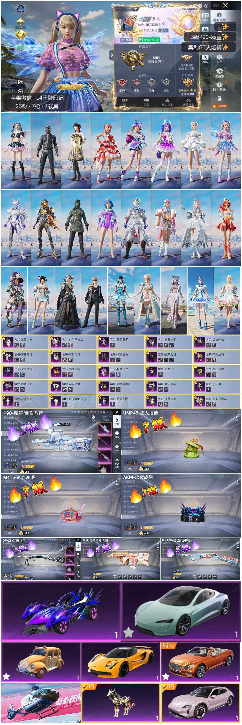 HPLE3434754和平精英账号详情图2