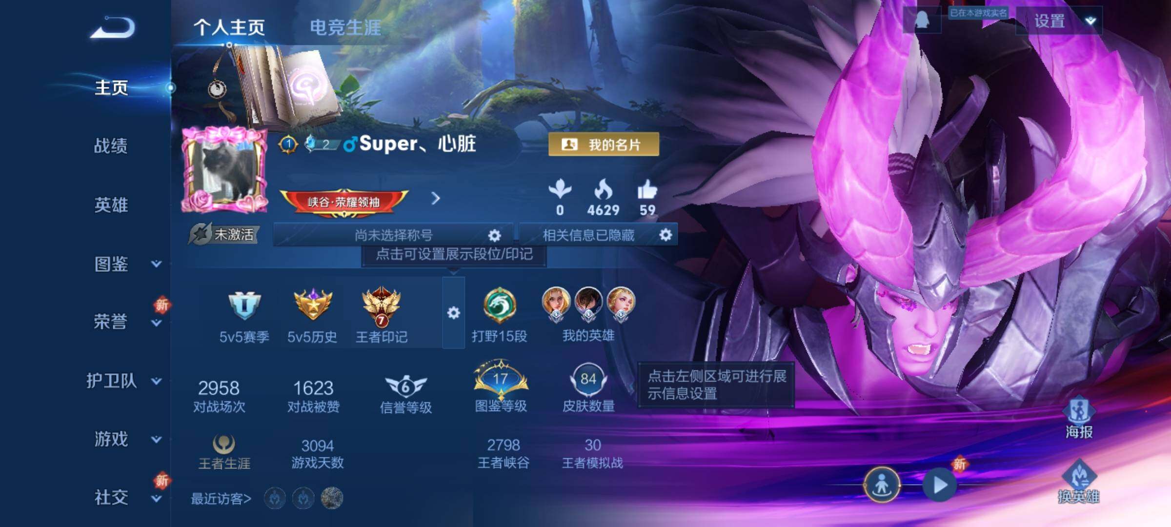 WZKG449118王者荣耀账号详情图2