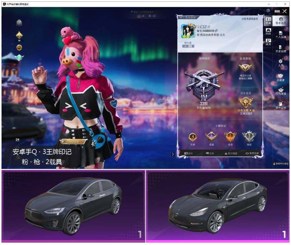 HPLE3440810和平精英账号详情图2