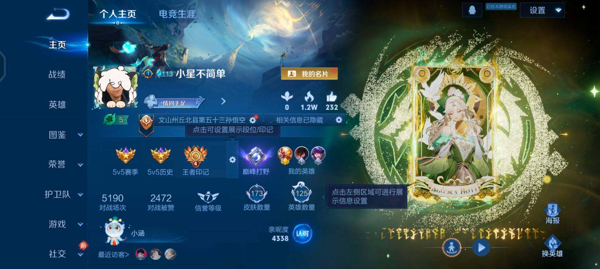 WZQM3445416王者荣耀账号详情图14 WZQM3445416王者荣耀账号详情图14