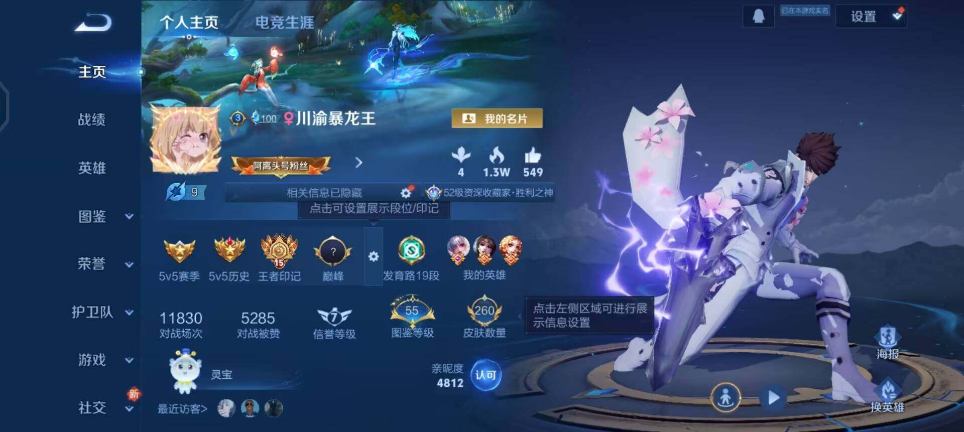 WZQM3466566王者荣耀账号详情图16