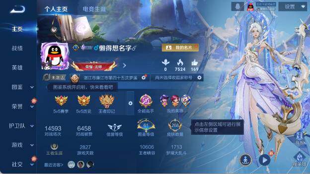 WZ03410156王者荣耀账号详情图12