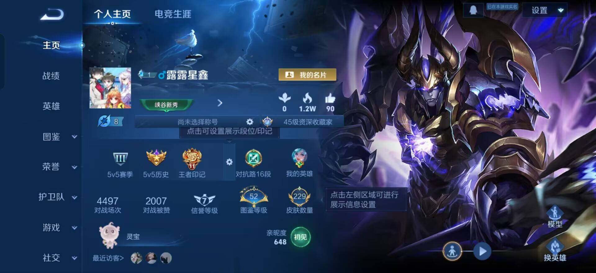 WZQM3445472王者荣耀账号详情图3