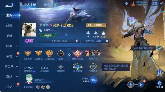 WZ03410189王者荣耀账号详情图10