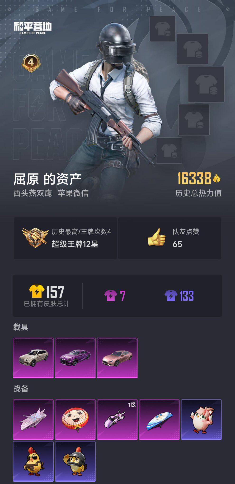 HPCMW3436896和平精英账号详情图4 HPCMW3436896和平精英账号详情图4